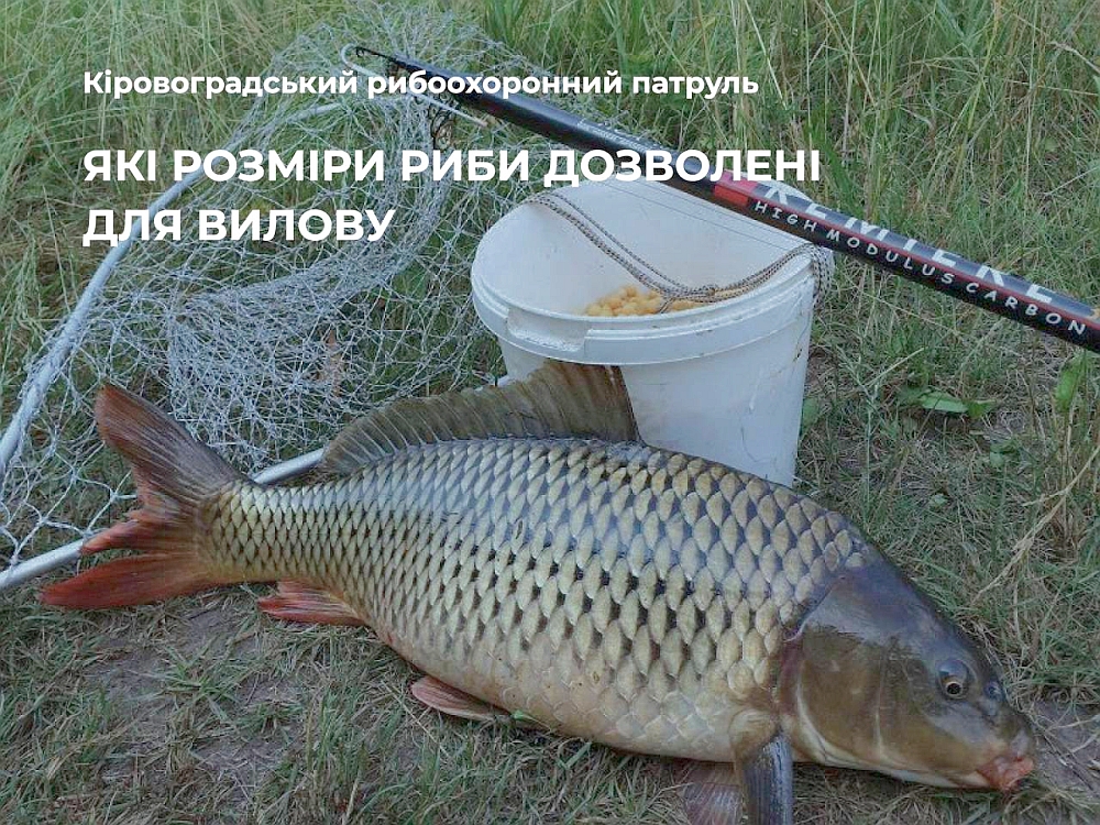 Кіровоградський рибоохоронний патруль нагадує правила любительського рибальства на водоймах України