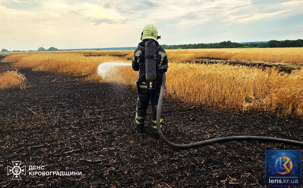 Наслідки пожежі на пшеничному полі після удару блискавки, робота вогнеборців ДСНС.