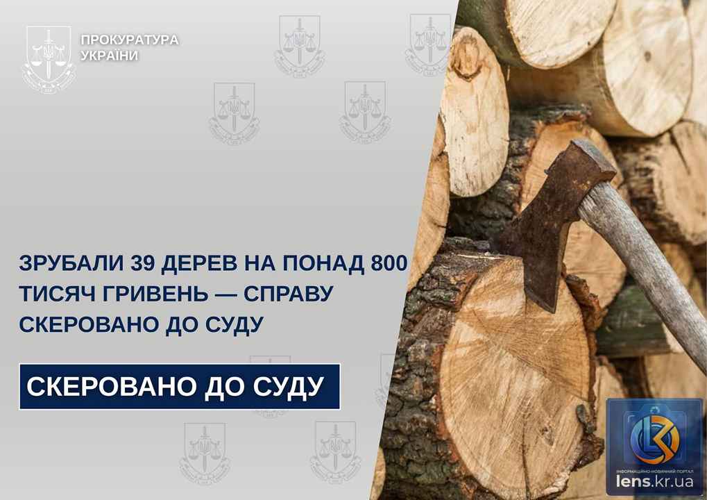 Незаконна порубка дерев у лісі на Кіровоградщині